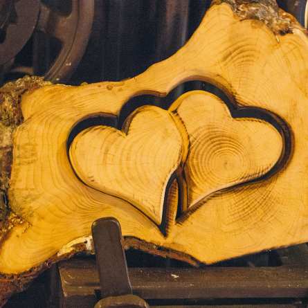 Hochzeiten Triendlsaege