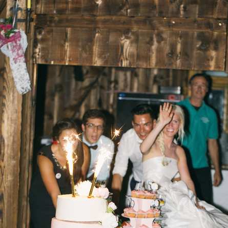 Hochzeiten Triendlsaege