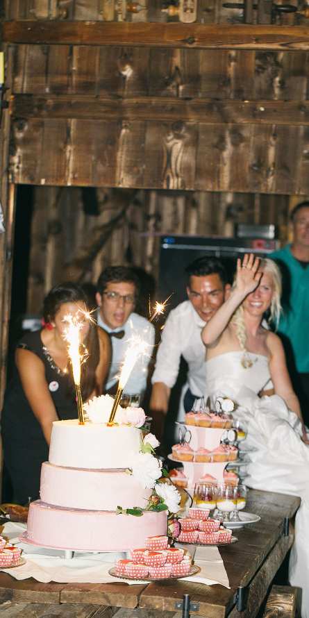 Hochzeiten Triendlsaege